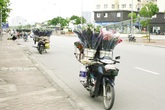 Hoa lấn đường, tràn vỉa hè trong Ngày Phụ nữ Việt Nam Hoa lấn đường, tràn vỉa hè trong Ngày Phụ nữ Việt Nam