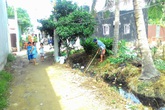 TP Hồ chí minh trước nguy cơ sốt xuất huyết: Bùng phát... muỗi TP Hồ chí minh trước nguy cơ sốt xuất huyết: Bùng phát... muỗi