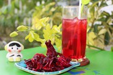 Những ai không nên uống atisô, nước gạo lứt rang? Những ai không nên uống atisô, nước gạo lứt rang?
