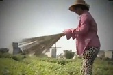 Hãy tận mắt rồi phán xét Hãy tận mắt rồi phán xét