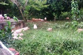 Quảng Bình sau lũ: Hàng loạt công việc nặng nề Quảng Bình sau lũ: Hàng loạt công việc nặng nề