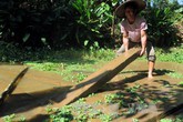 Chuyện ở rể của những người đàn ông Thái Chuyện ở rể của những người đàn ông Thái