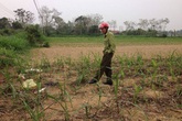 Con tổ chức cưới, bố chém khách đến dự Con tổ chức cưới, bố chém khách đến dự