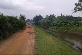 Về nơi đẽo cày bằng xương... lươn Về nơi đẽo cày bằng xương... lươn