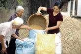 Vì sao phụ nữ dễ tổn thương hơn khi về già? Vì sao phụ nữ dễ tổn thương hơn khi về già?