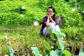 Truyền hình thực tế đang làm hại trẻ em như thế nào? Truyền hình thực tế đang làm hại trẻ em như thế nào?