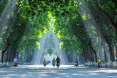 Cách phạt đáng học hỏi Cách phạt đáng học hỏi