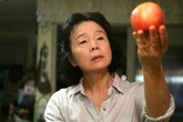 Câu chuyện xúc động về người mẹ mất trí nhớ và 2 gói đồ cho con gái vừa sinh Câu chuyện xúc động về người mẹ mất trí nhớ và 2 gói đồ cho con gái vừa sinh