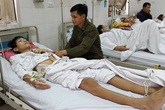 Bán bò, cầm cố nhà vẫn không đủ tiền phẫu thuật cho con Bán bò, cầm cố nhà vẫn không đủ tiền phẫu thuật cho con