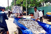 Ghẹ Vũng Tàu "siêu rẻ" bán đầy đường Sài Gòn Ghẹ Vũng Tàu "siêu rẻ" bán đầy đường Sài Gòn