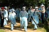 Quảng Ngãi: 6 huyện miền núi có 19 xã trọng điểm sốt rét Quảng Ngãi: 6 huyện miền núi có 19 xã trọng điểm sốt rét