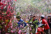 Tết nghỉ 7 ngày, vậy lịch những ngày nghỉ lễ còn lại thế nào? Tết nghỉ 7 ngày, vậy lịch những ngày nghỉ lễ còn lại thế nào?