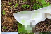 Phượt thủ xả rác bừa bãi trên núi Tà Xùa gây bức xúc Phượt thủ xả rác bừa bãi trên núi Tà Xùa gây bức xúc