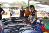 Du lịch Cửa Lò vẫn tấp nập sau sự kiện cá chết ở miền Trung Du lịch Cửa Lò vẫn tấp nập sau sự kiện cá chết ở miền Trung