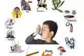 Giải đáp 8 thắc mắc thường gặp về bệnh hen suyễn Giải đáp 8 thắc mắc thường gặp về bệnh hen suyễn