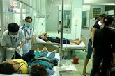 Ăn hoa cà dại, 4 người ngộ độc Ăn hoa cà dại, 4 người ngộ độc