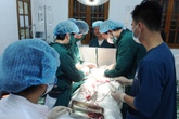 Hải Phòng: Cứu sống thai phụ chửa ngoài tử cung Hải Phòng: Cứu sống thai phụ chửa ngoài tử cung
