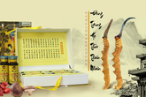 Đông trùng hạ thảo: Món quà ý nghĩa tặng cha mẹ mùa Vu lan Đông trùng hạ thảo: Món quà ý nghĩa tặng cha mẹ mùa Vu lan
