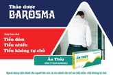 Cây thảo dược buchu - "khắc tinh" bệnh tiểu đêm Cây thảo dược buchu - "khắc tinh" bệnh tiểu đêm