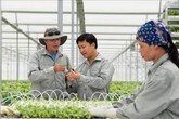 “Mục sở thị” công nghệ nông nghiệp đỉnh cao của Israel tại VinEco “Mục sở thị” công nghệ nông nghiệp đỉnh cao của Israel tại VinEco