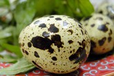 Công dụng tuyệt vời của trứng cút bạn nên ăn hàng ngày Công dụng tuyệt vời của trứng cút bạn nên ăn hàng ngày