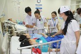 Bảy người nhập viện vì ăn nấm lạ Bảy người nhập viện vì ăn nấm lạ