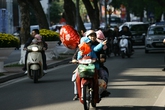 Hà Nội rực rỡ nắng ấm ngày cuối năm Hà Nội rực rỡ nắng ấm ngày cuối năm