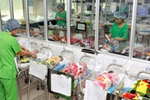 Bắc Ninh có em bé đầu tiên ra đời nhờ thụ tinh nhân tạo Bắc Ninh có em bé đầu tiên ra đời nhờ thụ tinh nhân tạo