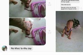 Người mẹ trong bộ ảnh "bỏ đói, giẫm chân lên đầu con" lên tiếng Người mẹ trong bộ ảnh "bỏ đói, giẫm chân lên đầu con" lên tiếng