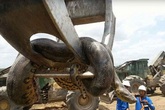Hoảng hồn “quái vật” trăn khổng lồ nặng 4 tạ xuất hiện giữa công trường Hoảng hồn “quái vật” trăn khổng lồ nặng 4 tạ xuất hiện giữa công trường