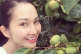 Gia đình Kim Hiền trồng rau lang, thanh long ở Mỹ Gia đình Kim Hiền trồng rau lang, thanh long ở Mỹ