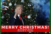 Vợ chồng Trump đón Giáng sinh ở thánh đường từng tổ chức hôn lễ Vợ chồng Trump đón Giáng sinh ở thánh đường từng tổ chức hôn lễ
