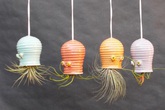 16 mẫu thiết kế chậu cây treo trong nhà vừa bắt mắt vừa độc đáo 16 mẫu thiết kế chậu cây treo trong nhà vừa bắt mắt vừa độc đáo