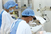 Người Việt có chủ quan trước bệnh hiểm nghèo? Người Việt có chủ quan trước bệnh hiểm nghèo?