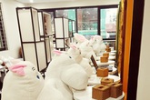 Quán cà phê cho người cô đơn đầu tiên ở Hà Nội Quán cà phê cho người cô đơn đầu tiên ở Hà Nội
