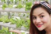 Lý do khiến Vũ Thu Phương mạnh tay đầu tư giàn rau khủng Lý do khiến Vũ Thu Phương mạnh tay đầu tư giàn rau khủng