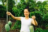 Vườn cây rộng bát ngát và sai trĩu quả của diễn viên Chiều Xuân Vườn cây rộng bát ngát và sai trĩu quả của diễn viên Chiều Xuân