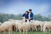 Ảnh cưới lãng mạn giữa bầy cừu của diễn viên Cao Minh Đạt Ảnh cưới lãng mạn giữa bầy cừu của diễn viên Cao Minh Đạt