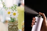 Bí kíp siêu đơn giản để bình cúc họa mi đẹp mà tươi lâu Bí kíp siêu đơn giản để bình cúc họa mi đẹp mà tươi lâu