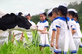MV "Vươn Cao Việt Nam" đạt hơn 27 triệu view và gần 20,000 chia sẻ MV "Vươn Cao Việt Nam" đạt hơn 27 triệu view và gần 20,000 chia sẻ