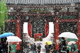 Tokyo lần đầu có tuyết giữa tháng 11 trong hơn nửa thế kỷ Tokyo lần đầu có tuyết giữa tháng 11 trong hơn nửa thế kỷ