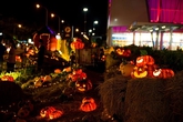 Vườn bí ngô hút khách dịp Halloween ở Sài Gòn Vườn bí ngô hút khách dịp Halloween ở Sài Gòn