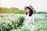 Mai Thu Huyền như thiếu nữ đôi mươi giữa vườn hoa họa mi trắng muốt Mai Thu Huyền như thiếu nữ đôi mươi giữa vườn hoa họa mi trắng muốt