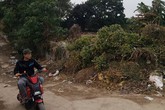Cận Tết, quất lại chết khô khiến chủ vườn lao đao, vỡ nợ Cận Tết, quất lại chết khô khiến chủ vườn lao đao, vỡ nợ