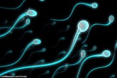 Nguy cơ vô sinh khi sử dụng kem chống nắng Nguy cơ vô sinh khi sử dụng kem chống nắng