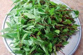 Những người nên ăn rau đay thường xuyên để chữa bệnh Những người nên ăn rau đay thường xuyên để chữa bệnh