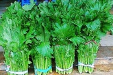 Rau sạch Sơn La lần đầu chính thức được giới thiệu với dân Thủ đô Rau sạch Sơn La lần đầu chính thức được giới thiệu với dân Thủ đô