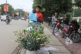 Sinh viên xứ Nghệ hào hứng với hoạt động gây quỹ Tết cho trẻ em nghèo Sinh viên xứ Nghệ hào hứng với hoạt động gây quỹ Tết cho trẻ em nghèo