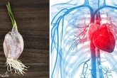 Tỏi mọc mầm: Những công dụng quý không nhiều người biết Tỏi mọc mầm: Những công dụng quý không nhiều người biết