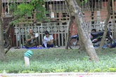 Xúc động hình ảnh cha quạt cho con tranh thủ ôn bài buổi trưa Xúc động hình ảnh cha quạt cho con tranh thủ ôn bài buổi trưa